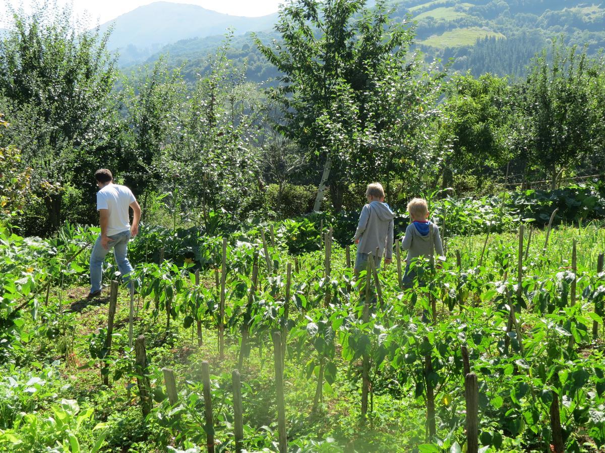 Agroturismo La Casona De Belmonte Ovinana  Exteriér fotografie
